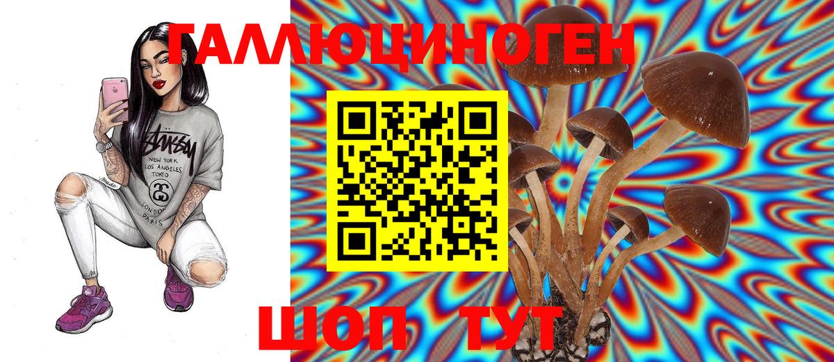 Киселёвск  Галлюциногенные грибы MAGIC MUSHROOMS  дарнет шоп  Псилоцибиновые грибы прущие грибы  Вход с VPN 